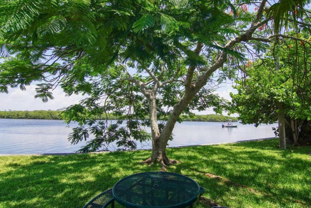 Sea Breeze, Studio 510, Beach Steps Away!+Pool+Wifi رسكن المظهر الخارجي الصورة
